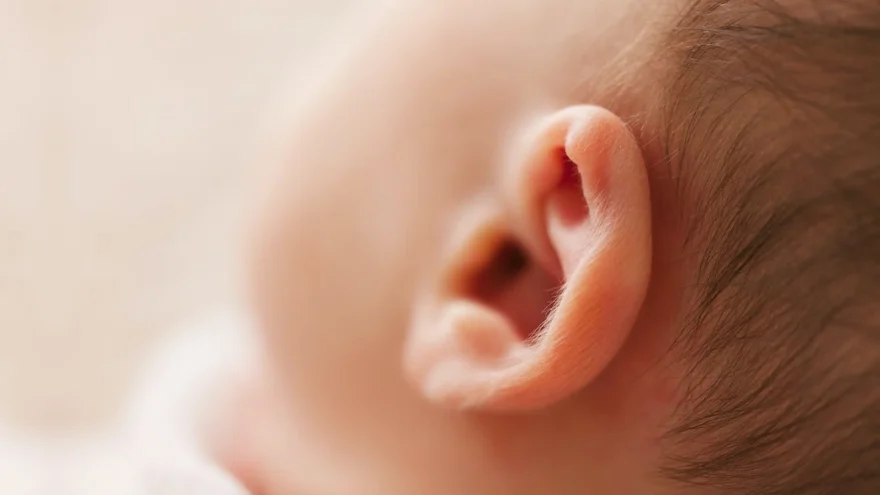Perda de audição é hereditária? Perda de audição é hereditária?